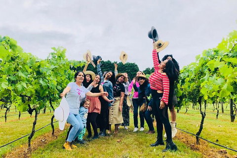Mt Tamborine Wine Tour - C Tourism 18