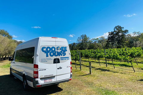 Mt Tamborine Wine Tour - C Tourism 12