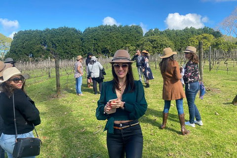 Mt Tamborine Wine Tour - C Tourism 6