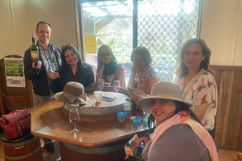 Mt Tamborine Wine Tour - C Tourism 17