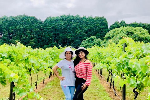 Mt Tamborine Wine Tour - C Tourism 13
