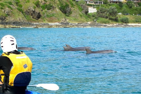 Byron Bay Day Tour - C Tourism 1