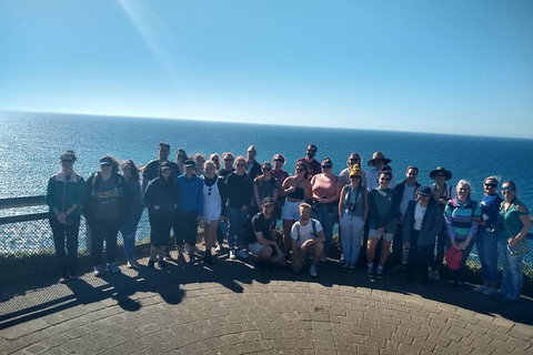Byron Bay Day Tour - C Tourism 3