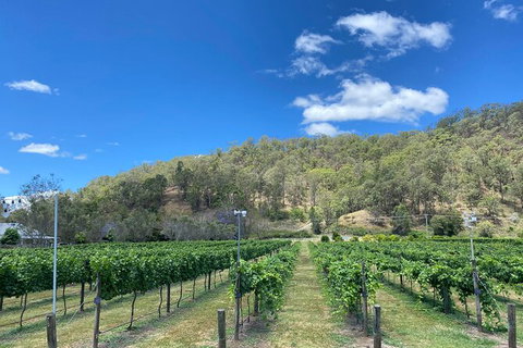 Hinterland Heritage Wine Tour - C Tourism 6