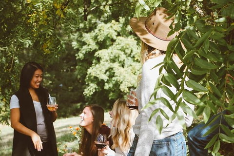 Hinterland Heritage Wine Tour - C Tourism 1