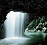 Glowworm Cave  Natural Bridge Tour - C Tourism