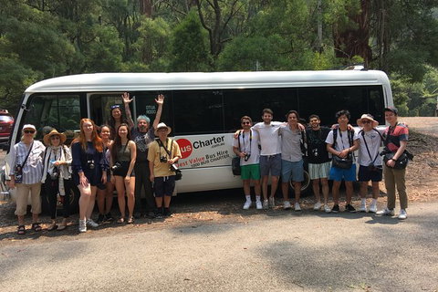 Private 13 Seat Mini Bus CBD To Brisbane Airport Transfer - C Tourism 4