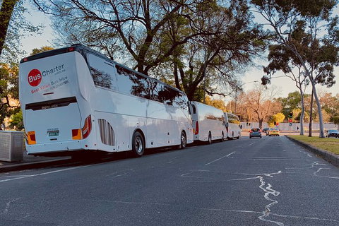 Private 24 Seat Mini Bus Brisbane CBD To Lone Pine Koala Sanctuary Transfer - C Tourism 6