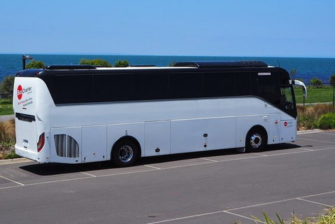 Private 24 Seat Mini Bus Brisbane CBD To Lone Pine Koala Sanctuary Transfer - C Tourism 3