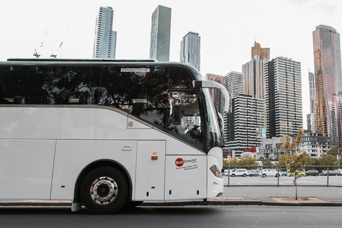 Private 24 Seat Mini Bus Brisbane CBD To Lone Pine Koala Sanctuary Transfer - C Tourism 1
