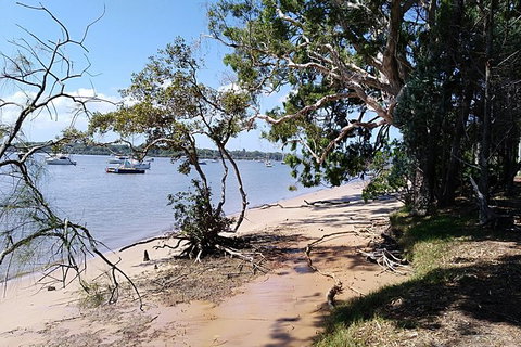Private Full-Day Guided Tour: Russell Lamb Macleay And Karragarra Islands - C Tourism 11