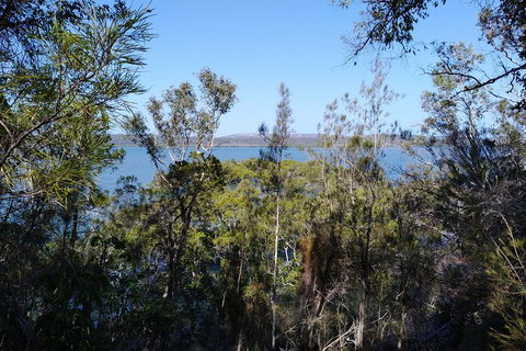 Private Full-Day Guided Tour: Russell Lamb Macleay And Karragarra Islands - C Tourism 22