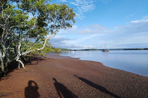 Private Full-Day Guided Tour: Russell Lamb Macleay And Karragarra Islands - C Tourism 12