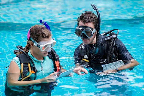 PADI Diving Courses On The Gold Coast - C Tourism 0