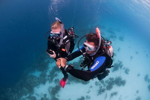PADI Diving Courses On The Gold Coast - C Tourism 5
