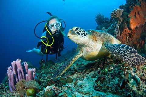 PADI Diving Courses On The Gold Coast - C Tourism 1