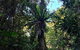 O\'Reilly\'s And Binna Burra Full-Day Tour - Lamington National Park - thumb 2