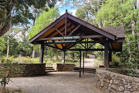 O\'Reilly\'s And Binna Burra Full-Day Tour - Lamington National Park - C Tourism 8