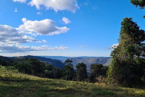 O\'Reilly\'s And Binna Burra Full-Day Tour - Lamington National Park - C Tourism 5