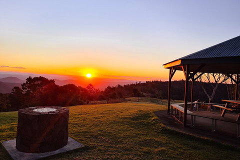 O\'Reilly\'s And Binna Burra Full-Day Tour - Lamington National Park - C Tourism 3