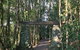 O\'Reilly\'s And Binna Burra Full-Day Tour - Lamington National Park - thumb 0