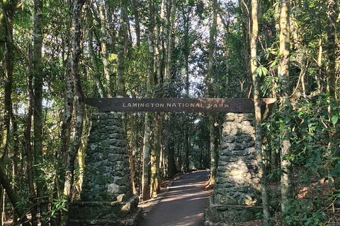 O\'Reilly\'s And Binna Burra Full-Day Tour - Lamington National Park - C Tourism 0