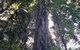 O\'Reilly\'s And Binna Burra Full-Day Tour - Lamington National Park - thumb 6