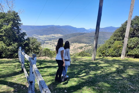 O\'Reilly\'s And Binna Burra Full-Day Tour - Lamington National Park - C Tourism 1