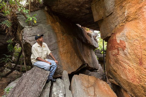 Half Day Aboriginal Rock Art Experience In Queensland - C Tourism 7
