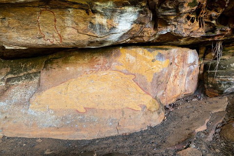 Half Day Aboriginal Rock Art Experience In Queensland - C Tourism 3
