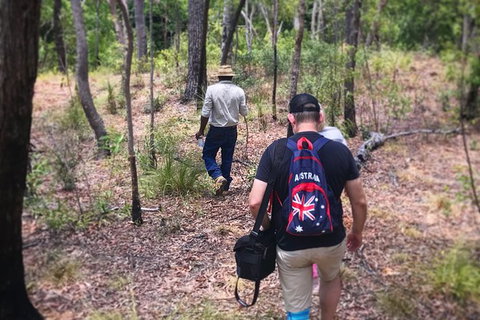 Half Day Aboriginal Rock Art Experience In Queensland - C Tourism 5