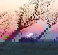 8-Day Outback Experience from Queensland - C Tourism