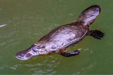 8-Day Outback Experience From Queensland - C Tourism 15