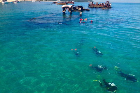 Adventure Moreton Island Scuba Dive Tour - C Tourism 0