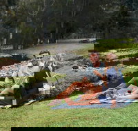 Mt Tamborine - Hinterland Wonders Self Guided - C Tourism