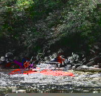Mossman Gorge Adventure Day - C Tourism