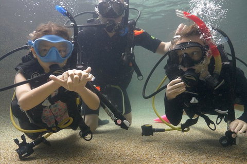 Scuba Kids- Padi Bubblemaker Course - C Tourism 4