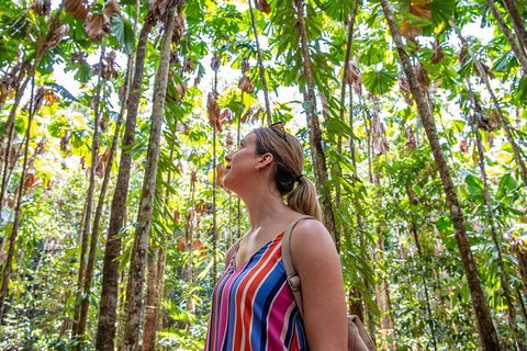 5 Day Australia Retreat: Queensland Daintree - C Tourism 3