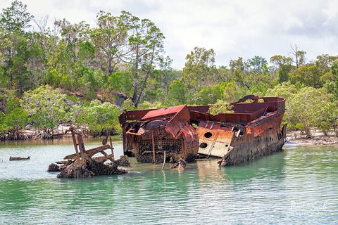 Sandy Straits Scenic & Wildlife Cruise - C Tourism 9