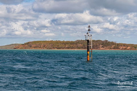 Sandy Straits Scenic & Wildlife Cruise - C Tourism 6