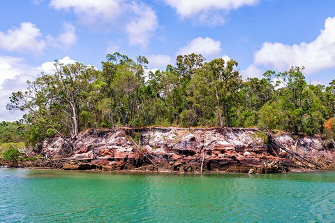 Sandy Straits Scenic & Wildlife Cruise - C Tourism 2