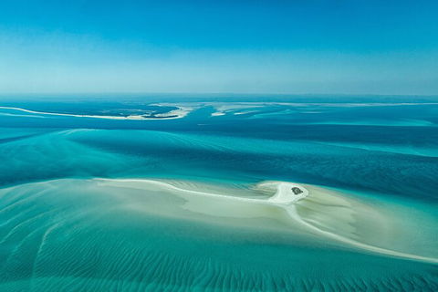 Sandy Straits Scenic & Wildlife Cruise - C Tourism 5