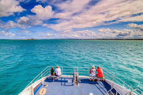 Sandy Straits Scenic & Wildlife Cruise - C Tourism 7