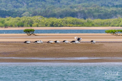 Sandy Straits Scenic & Wildlife Cruise - C Tourism 3