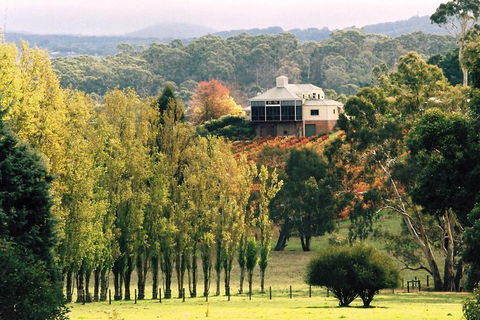 Adelaide Hills Wine Tour - C Tourism 0