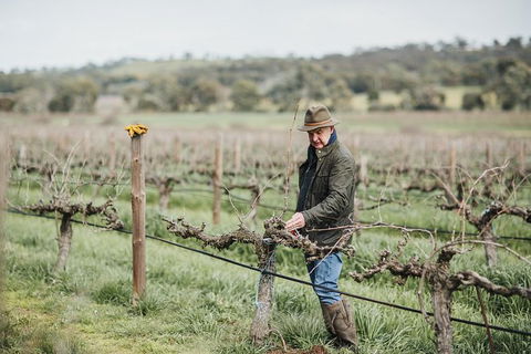Armagh Vineyard Exclusive Wine Experience And Lunch - C Tourism 0
