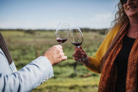 Armagh Vineyard Exclusive Wine Experience And Lunch - C Tourism 1