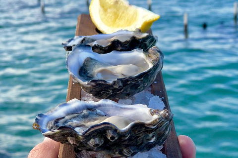 Coffin Bay Oysters, Ocean & Nature Tour - C Tourism 0