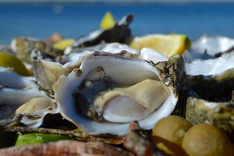 Coffin Bay Oysters, Ocean & Nature Tour - C Tourism 8