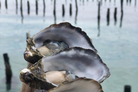 Coffin Bay Oysters, Ocean & Nature Tour - C Tourism 6
